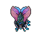 Hibernal Moth