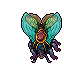 Lacewing Moth