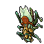 Leaf Locust