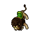 Noble Lion