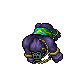 Noctungra