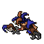 Jester