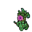 Peony